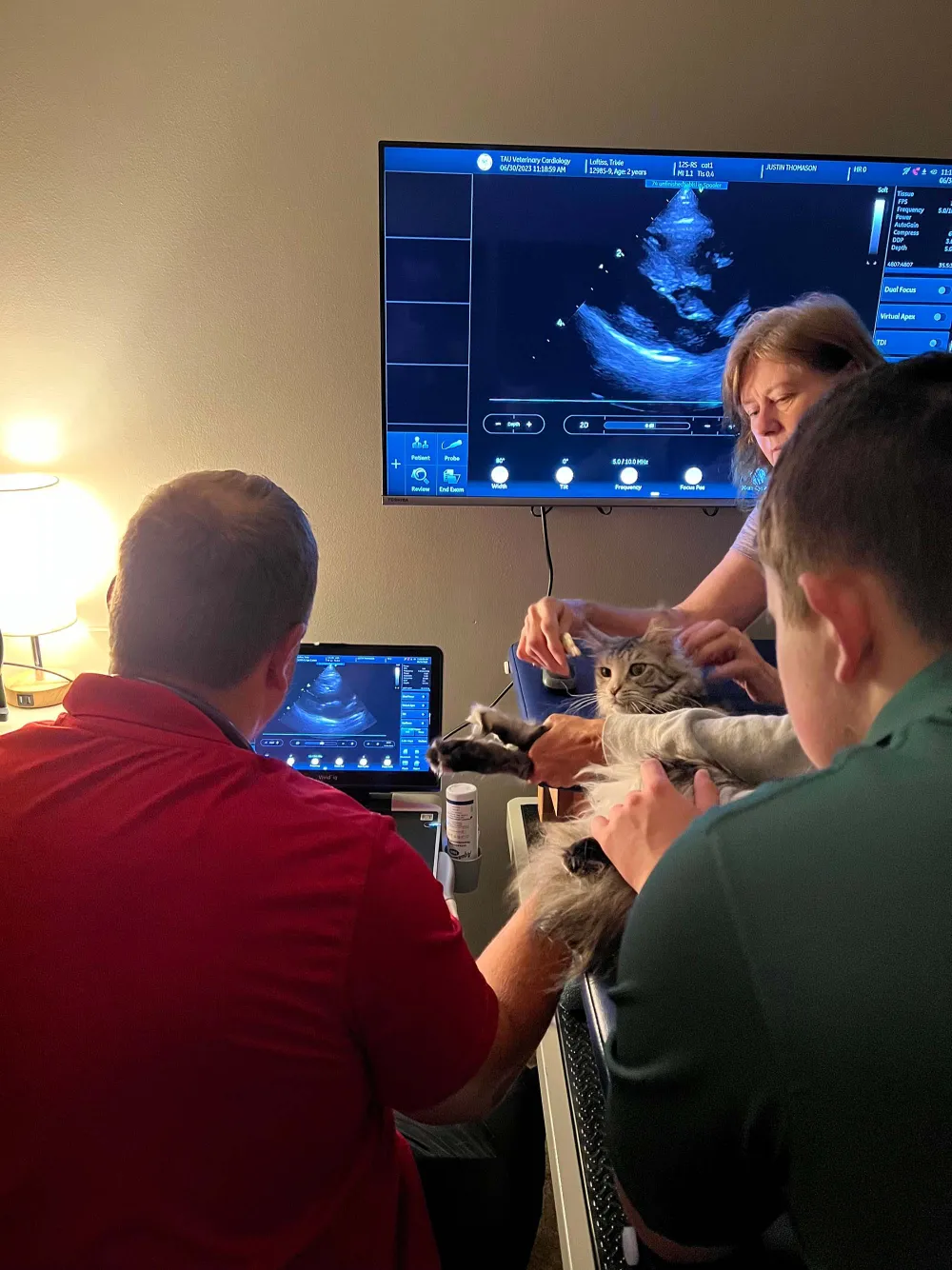 Team members performing an echocardiogram on a pet, with the heart image on a large screen