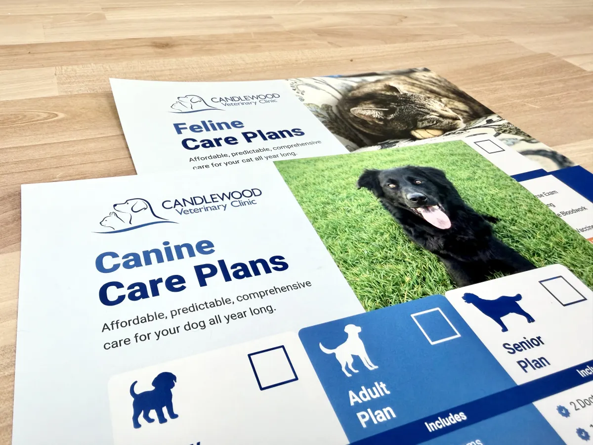 Candlewood canine and feline care plan flyers on a table