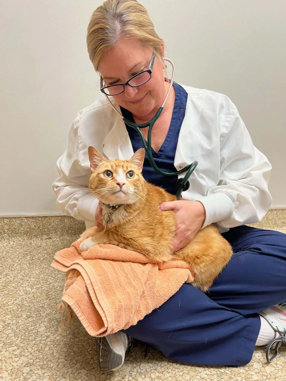 A veterinarian in a white coat sitting on the floor with an orange cat on a towel