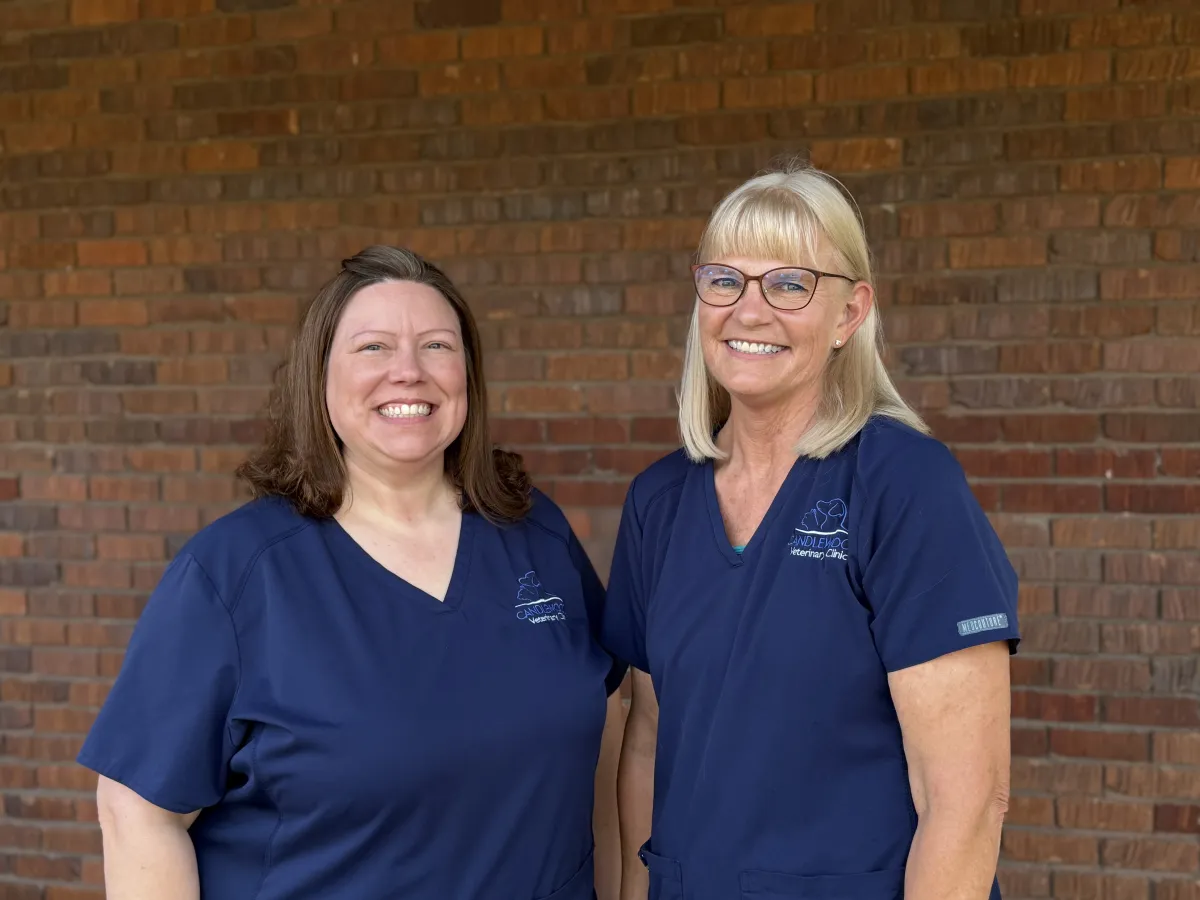 Nancy and Misty of the client care team in front of the brick wall