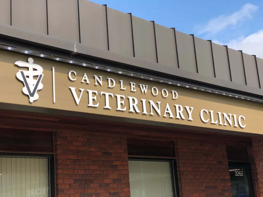 The Candlewood Veterinary Clinic sign above the brick storefront, against a blue sky