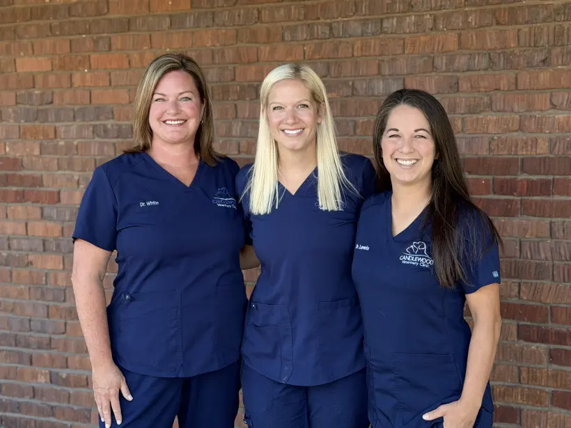 Dr. Grieves, Dr. White and Dr. Lewis in navy scrubs in front of the clinic’s brick wall