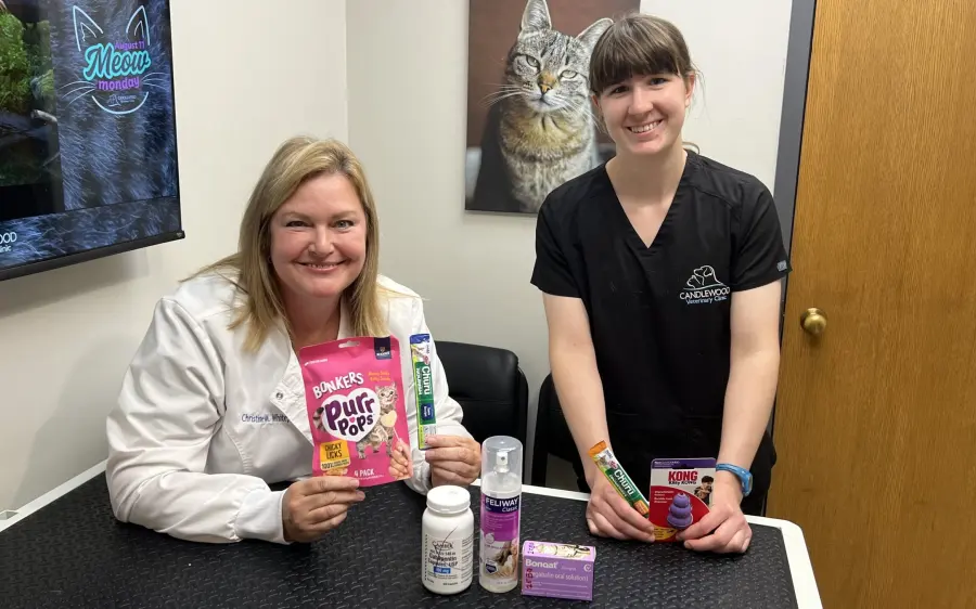 Two Candlewood team members smiling with cat treats and products