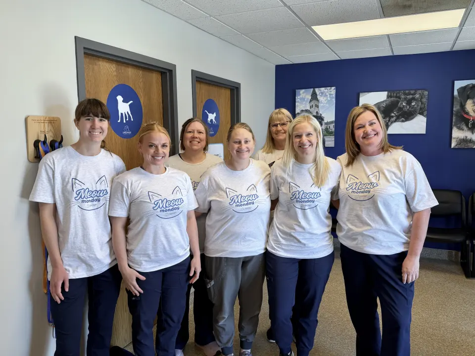 Six Candlewood team members in matching Meow Monday t-shirts in the lobby