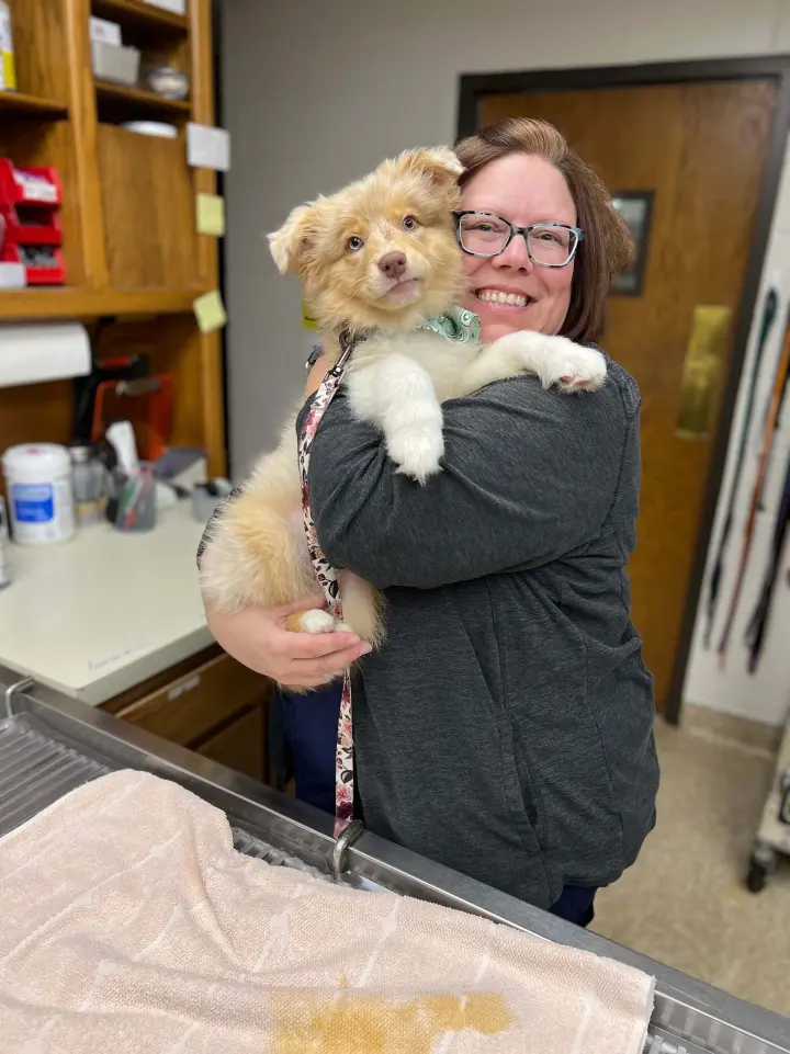 A smiling team member hugging a fluffy tan and white puppy